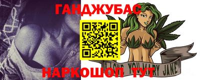 крисы Моздок