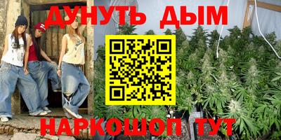 крисы Моздок