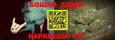 крисы Моздок