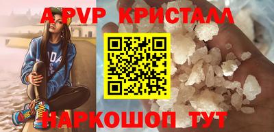 крисы Моздок