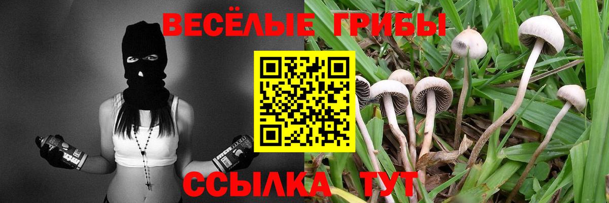 Псилоцибиновые грибы MAGIC MUSHROOMS  Вход с VPN  Сорочинск 